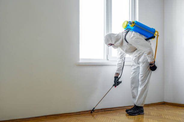 Best Pest Exclusion Services  in Ampere North, NJ